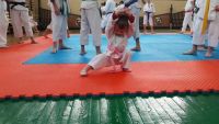 Donbass Aikido