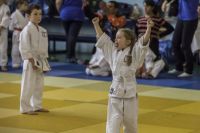 Tomiki Aikido Championship 2014