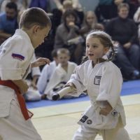 Tomiki Aikido Championship 2014