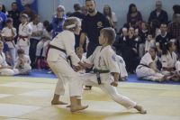 Tomiki Aikido Championship 2014