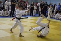 Tomiki Aikido Championship 2014