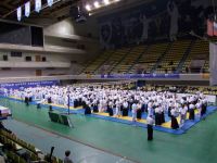 Winter Festival 2011