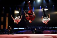 World Combat Games