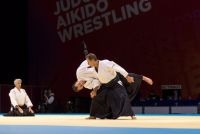 World Combat Games