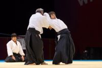 World Combat Games