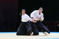 World Combat Games