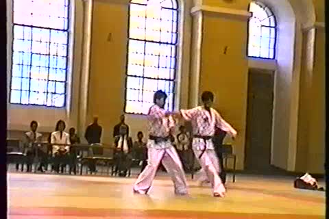 Хапкидо #8
