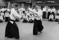 Ulf Evenas Sensei 10